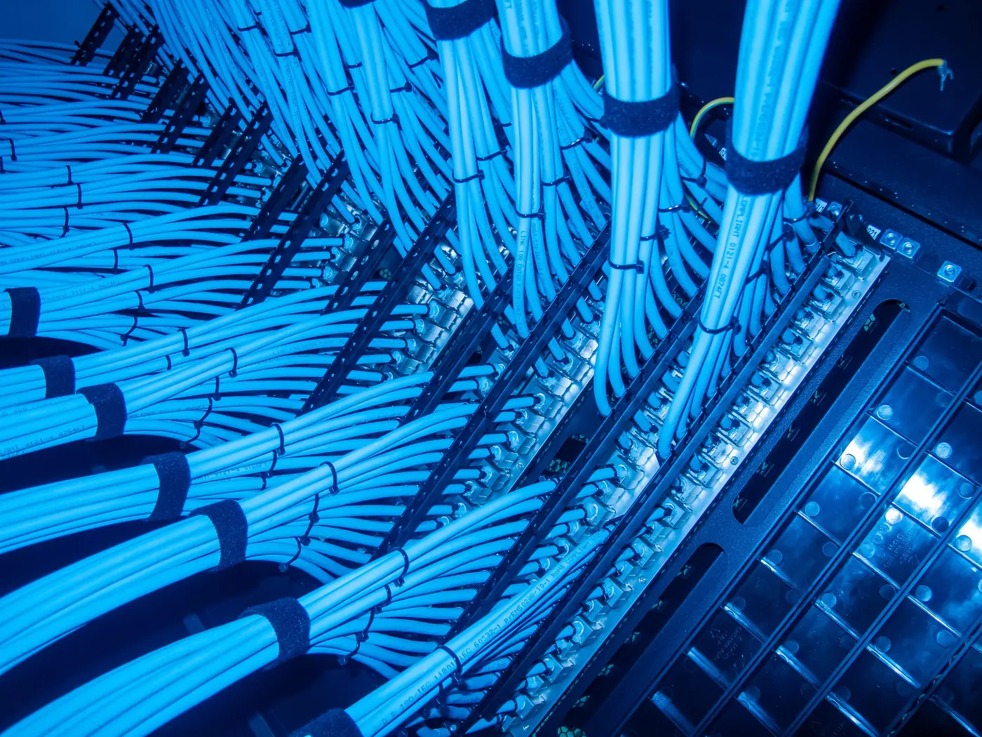 Network cables arranged in a server room with blue lighting