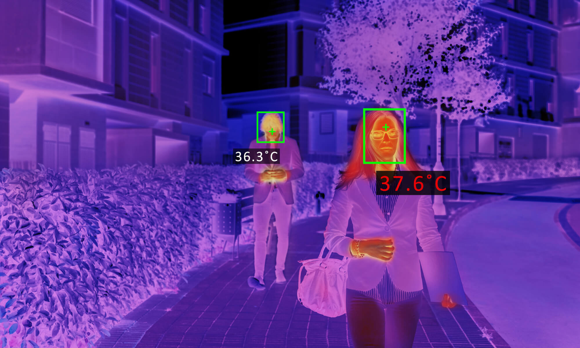 View from a thermal camera